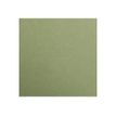 Clairefontaine MAYA A2+ - Tekenpapier - 500 x 700 mm - leaf green